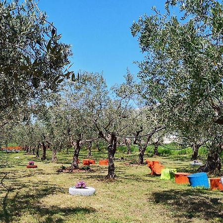 مبيت وإفطار سان سالفو Colline Del Sole المظهر الخارجي الصورة
