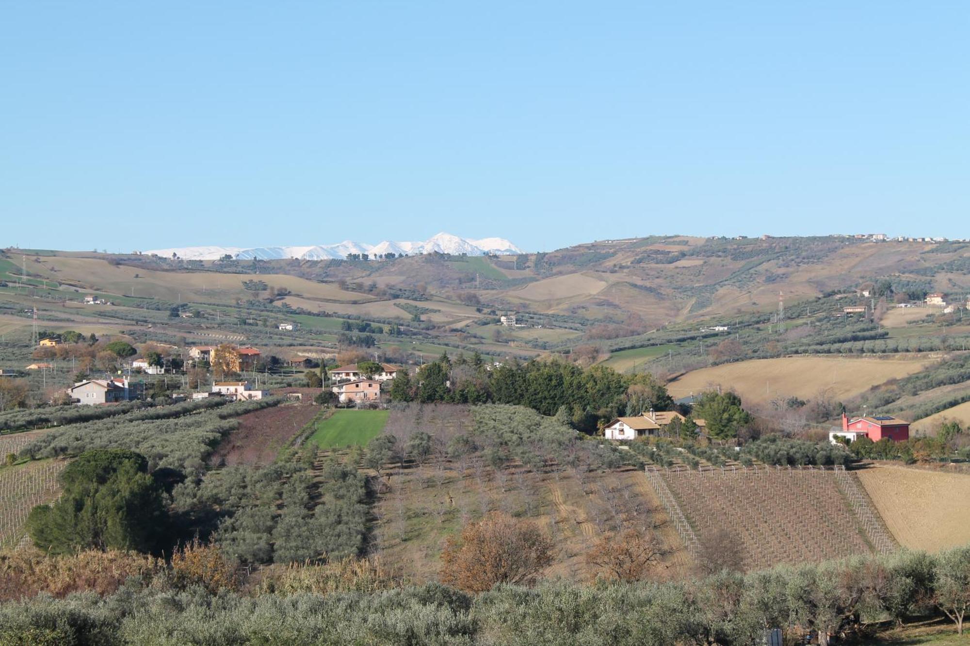 مبيت وإفطار سان سالفو Colline Del Sole المظهر الخارجي الصورة